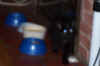 new_cat 017.jpg (292248 bytes)